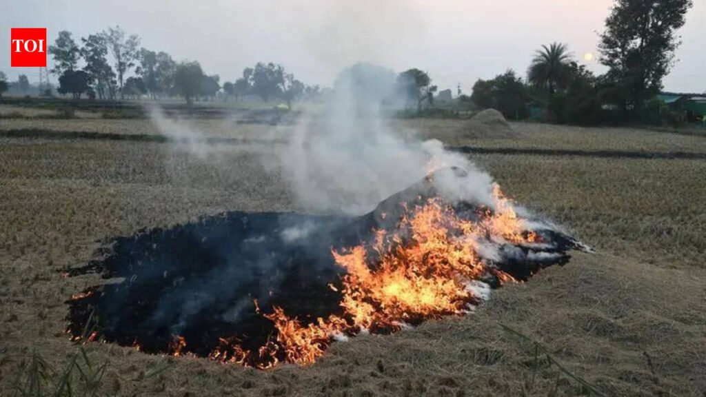 Day after 283 cases, Punjab reports only 11