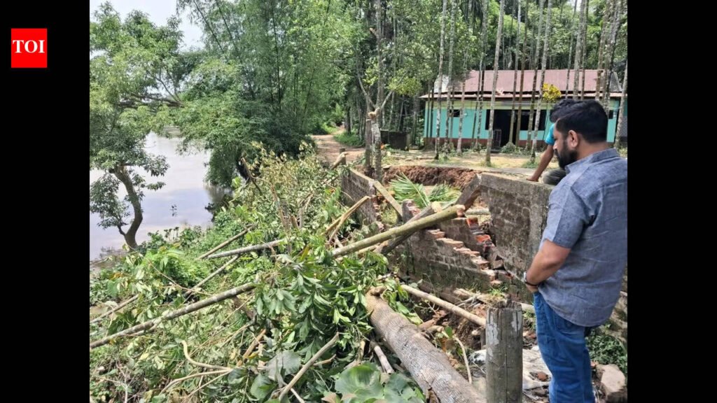 River erosion swallows roads & agri land threatens homes in Barak Valley