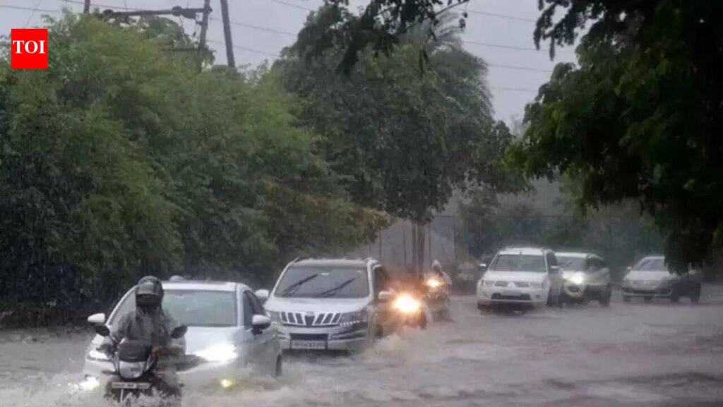 Storm batters lower Assam; 12 injured as IMD warns of heavy rain