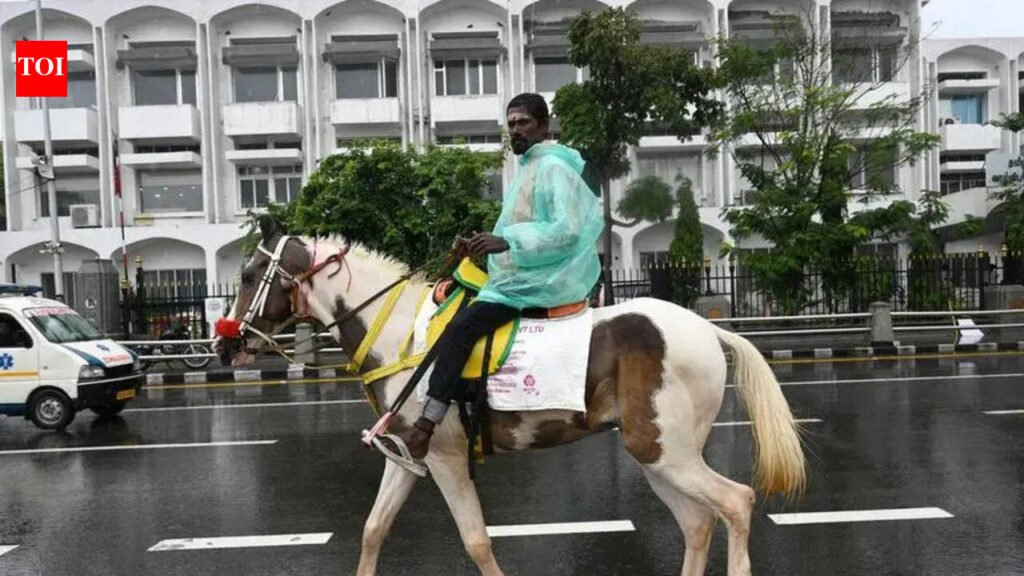 Inspections carried out, joyrides restricted