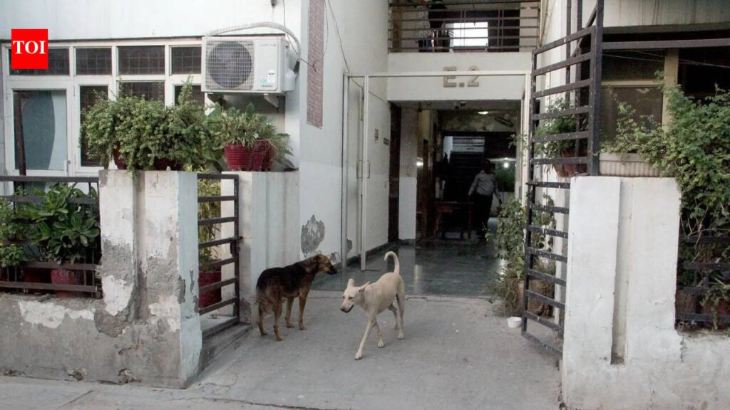 How an Indirapuram township became UP’s first civic ward to sterilise all strays, adopt most of them