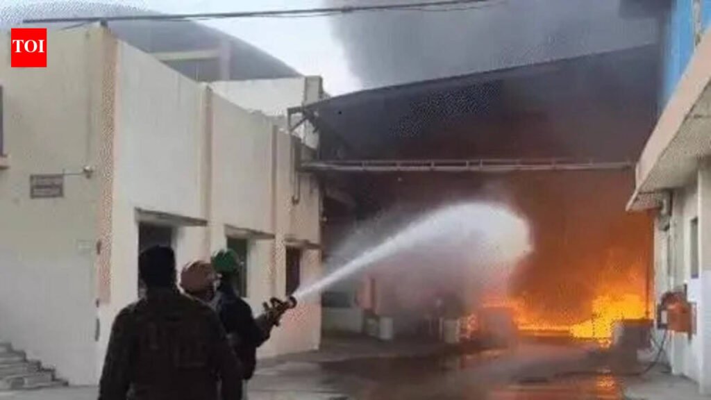 Massive blaze engulfs paint factory in Sanand