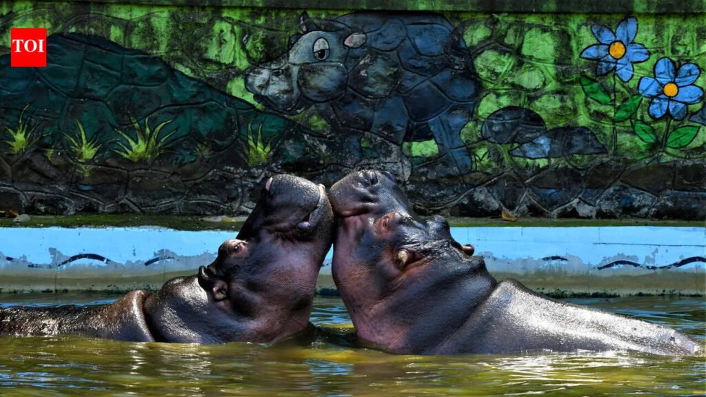 Mumbai zoo’s oldest hippo Deva dies at 35