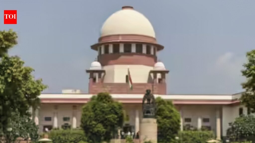 Courts not bound by govt’s N-liability cap