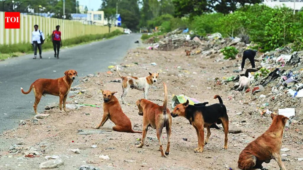 Govt preparing action plan after SC order on stray dogs: Halarnkar