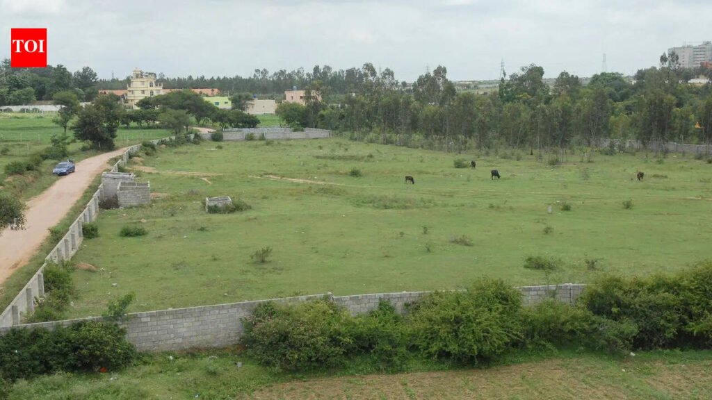 Pune collectorate sends final proposal for permanent transfer of Mundhwa land to BSI | Pune News