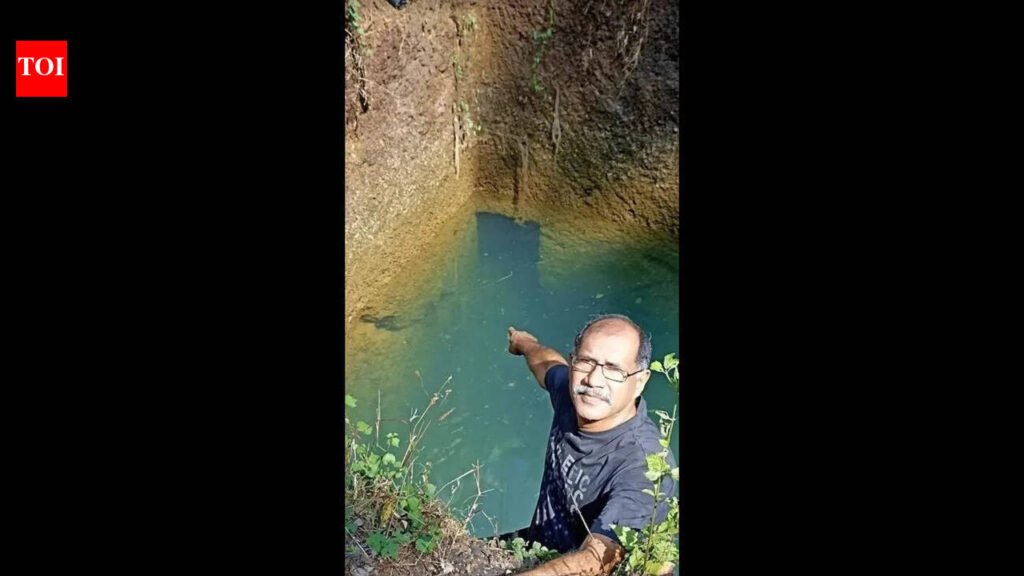 Stepwell with tunnel system helps transform Rivona farm | Goa News