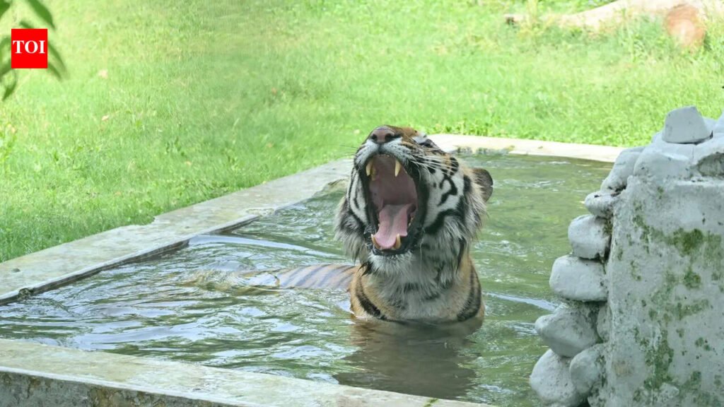 Residents reel under severe heat as mercury steadies at 44°C | Kanpur News