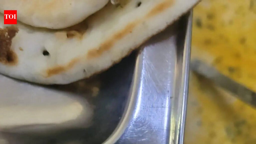 Cockroach found in South Campus DU hostel mess food, students hold protest | Delhi News