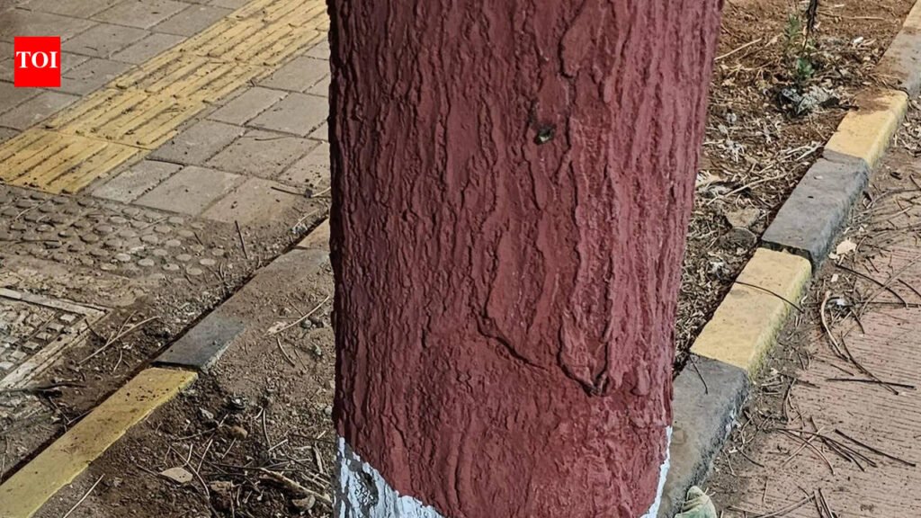Kalyan-Dombivli Municipal Corporation probes into ‘poisoning’ of trees along Smart City road | Mumbai News