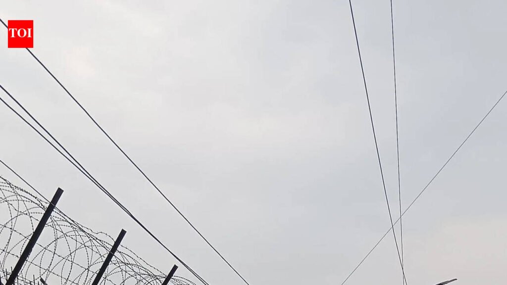 People dumping garbage near Lohegaon air base may face FIRs amid growing bird-strike risk | Pune News