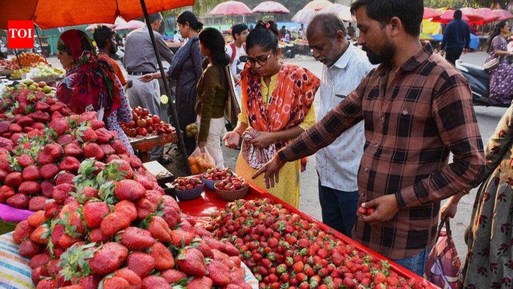 Dang emerges as Gujarat’s strawberry cultivation hub | Ahmedabad News