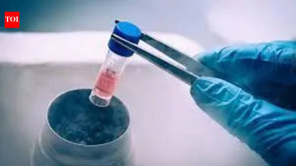 Stem cells from Poland save Chennai woman battling rare blood cancer | Chennai News