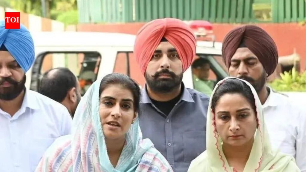 SAD MLA files complaints against DSP over ‘misconduct’, he refutes allegations | Chandigarh News