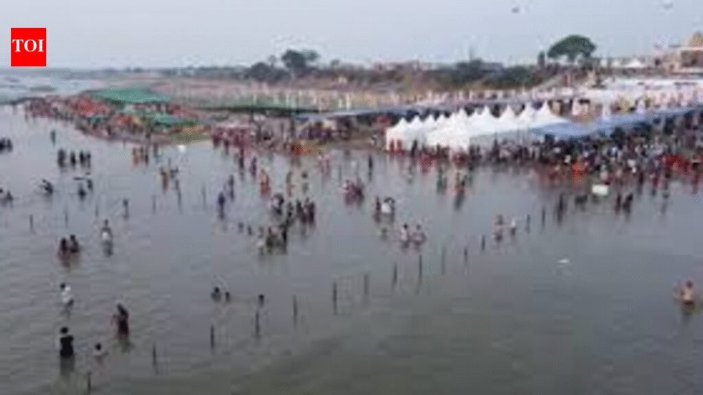 Take steps for smooth conduct of Saraswati Pushkaralu: CM | Hyderabad News