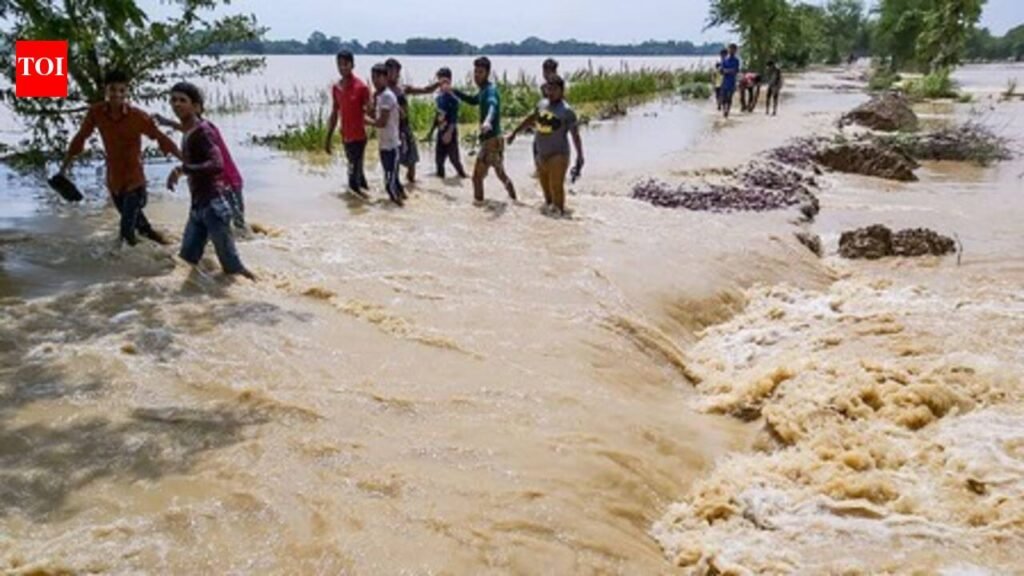 Madhubani DM reviews flood preparedness | Patna News