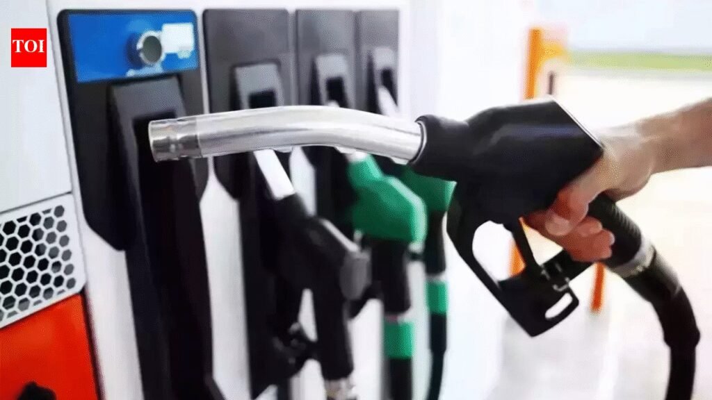 ‘No fuel shortage’: OMCs assure uninterrupted petrol, diesel and LPG supplies amid Middle East tensions