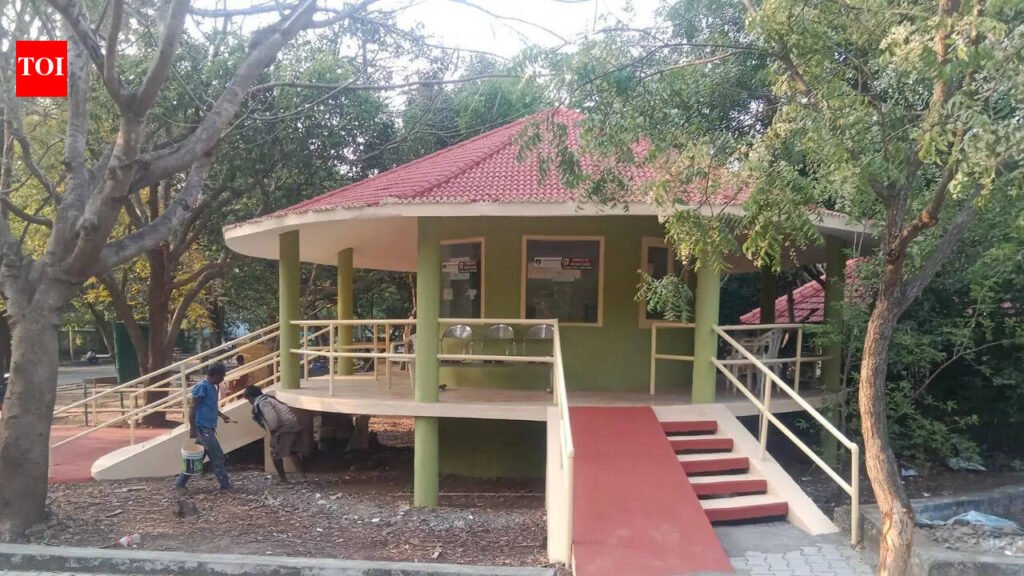 Vandalur zoo managers improve facilities this summer, sees surge in visitor numbers | Chennai News