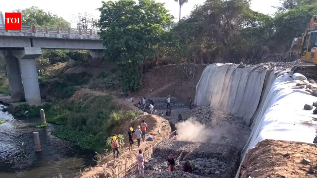 Work on gabion walls to secure eroding Vishwamitri banks begins | Vadodara News
