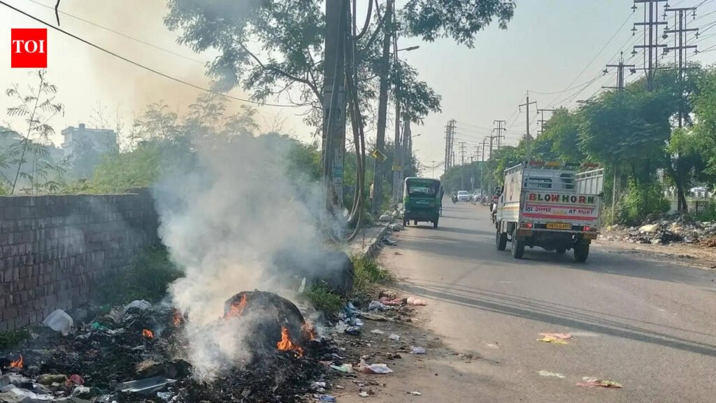 Ludhiana among top 2 in metro cities for breaking green laws | Ludhiana News