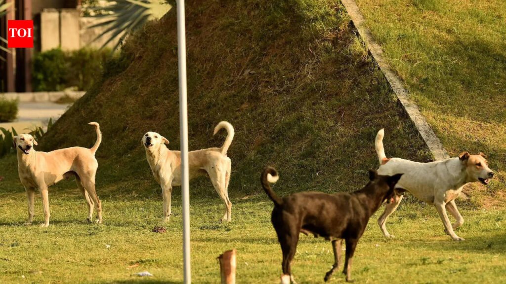 Stray pups dumped in Mullanpur, Nayagaon spark safety concerns | Chandigarh News