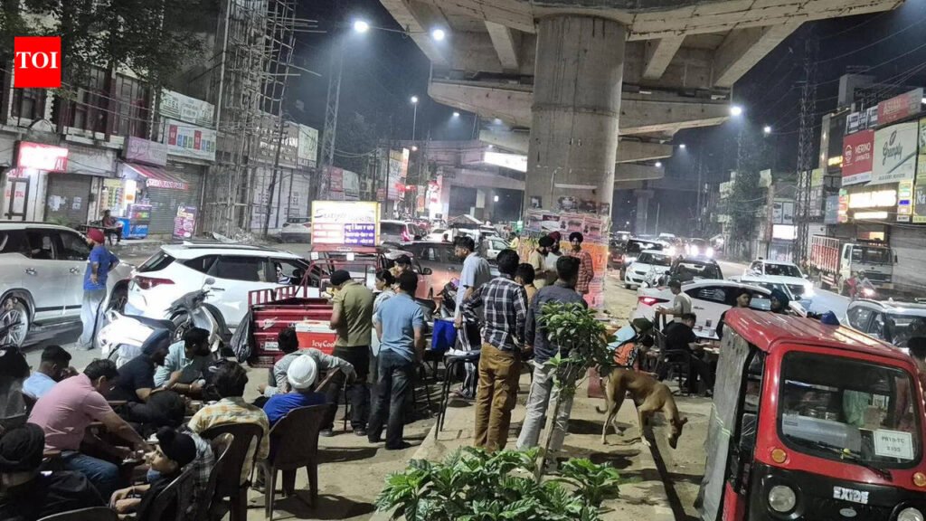 Civic body revives street food zone plan with 2 sites | Ludhiana News