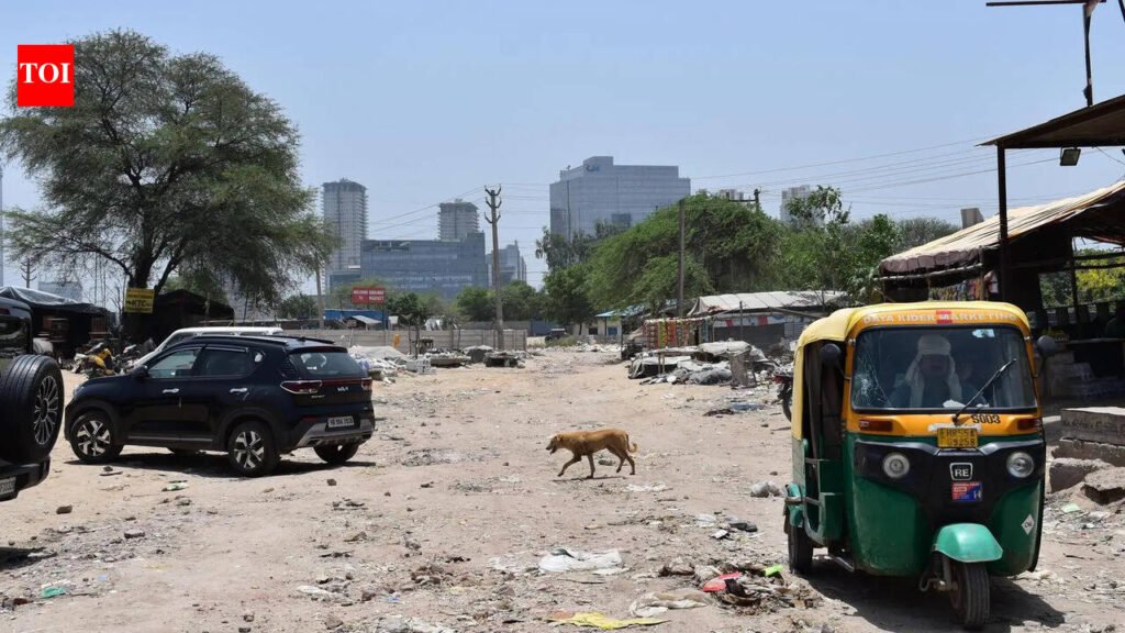 Land handed 2 years ago, cemetery still lack an approach road | Gurgaon News