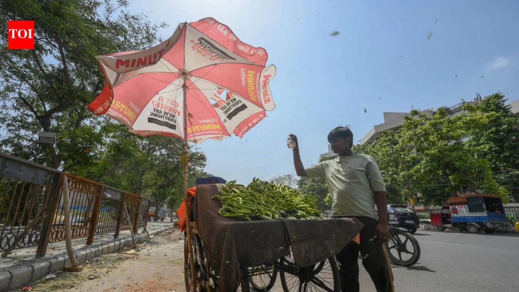 Storms likely next weekend. Brace for severe heat till then | Gurgaon News