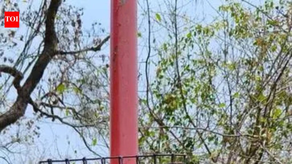 40 CCTV cameras to ensure road safety on Valparai ghat road | Coimbatore News