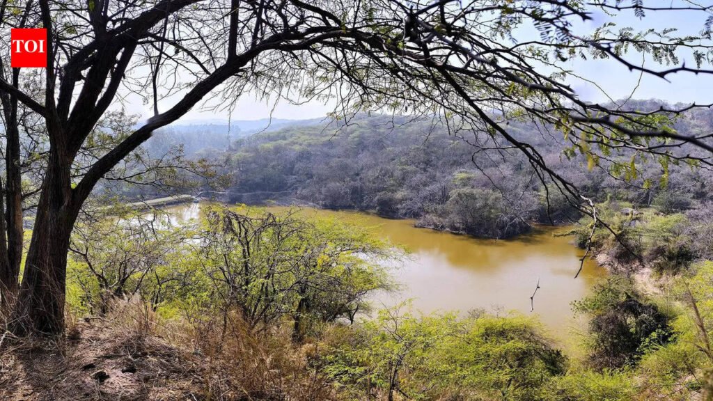 Sukhna wildlife survey confirms adult leopards, bird species count doubles | Chandigarh News