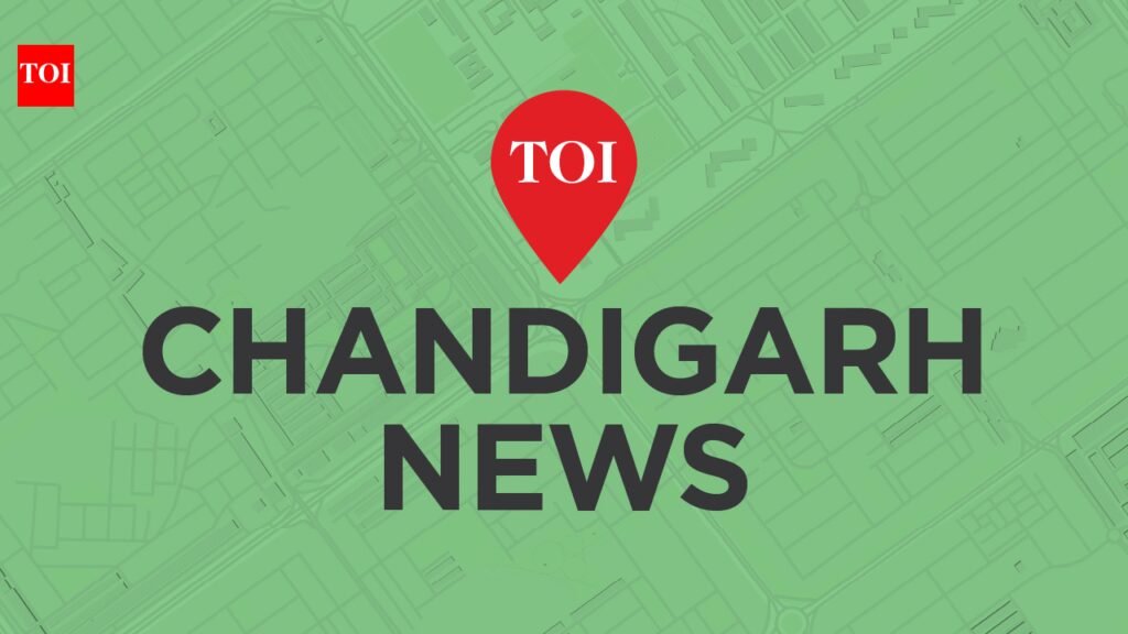 Pak car breaches border, occupants cleared & repatriated by BSF | Chandigarh News