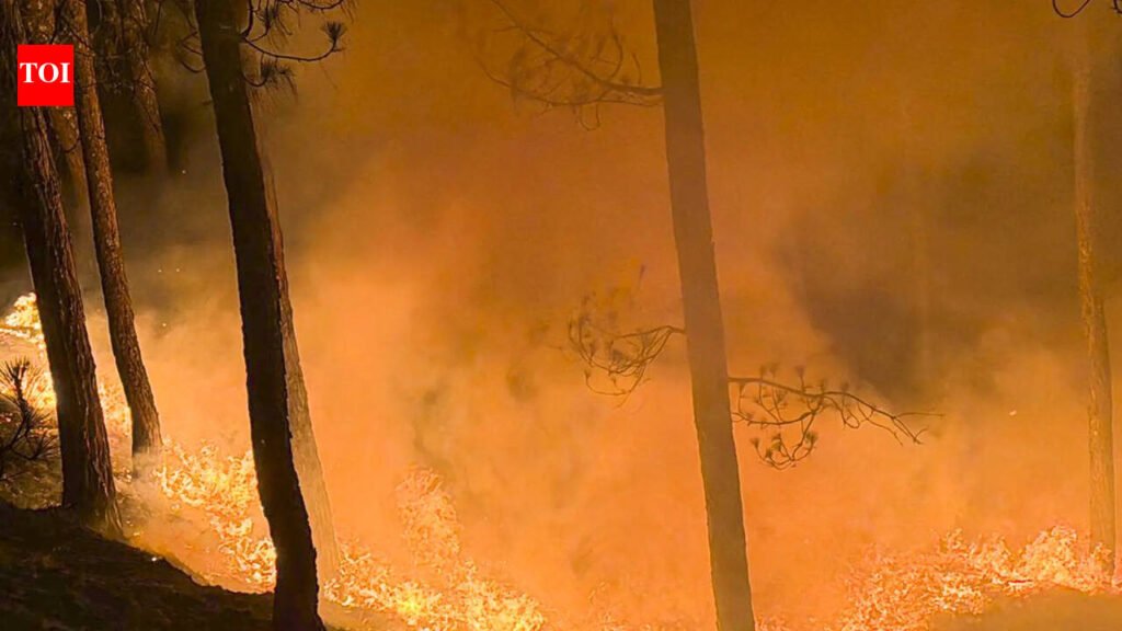 Goa Forest Department Prepares for Intense Fires Amid El Nino Threats in 2027 | Goa News