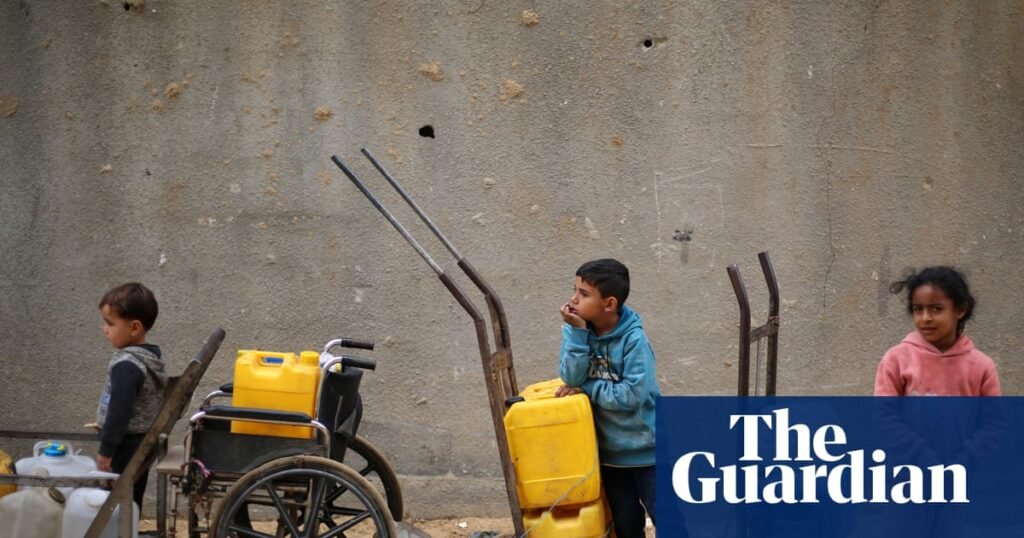 Board of Peace focus on Hamas risks return to war in Gaza, critics say | Israel-Gaza war