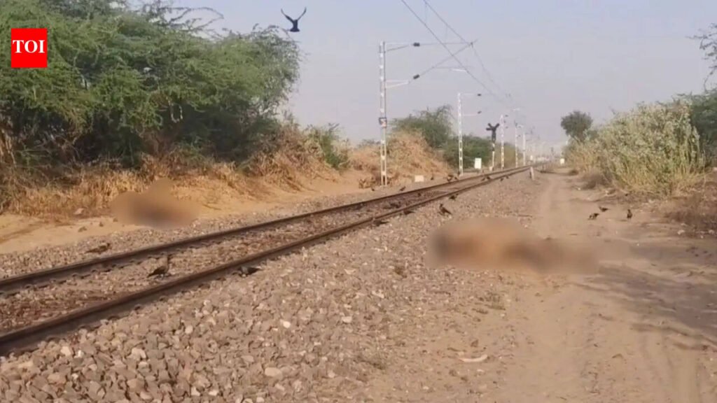 3 Camels killed after hit by passenger train near Jaisalmer | Jaipur News