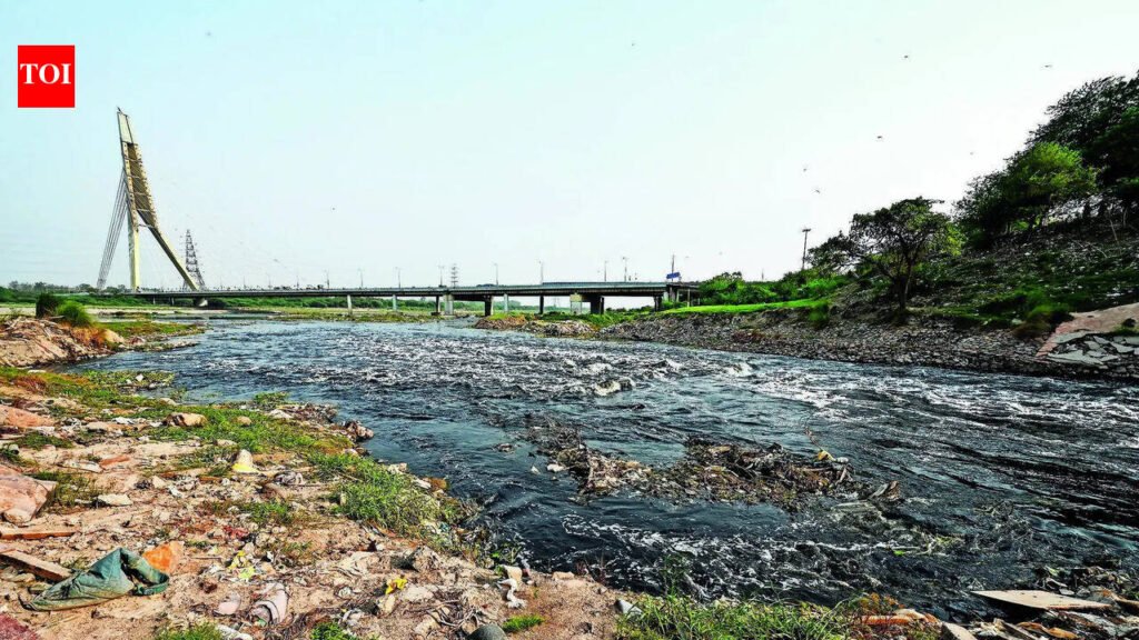 Delhi allots Rs 860cr projects for 12 sewage plants to cut Yamuna pollution | Delhi News