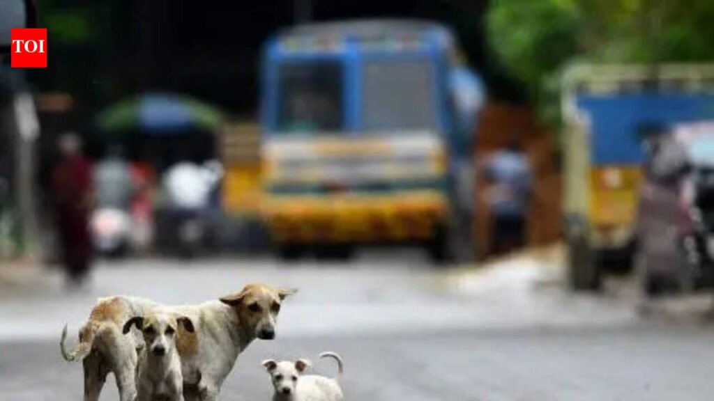 Shelter plan for stray dogs faces opposition in Mumbai after apex court order | Mumbai News