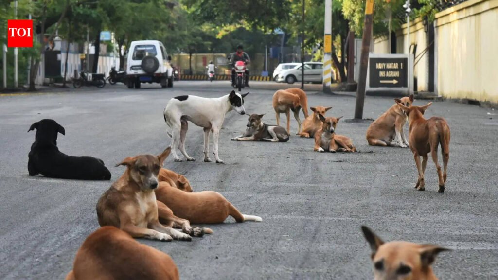 Civic body yet to chalk out shelter plan for SC’s stray dog guidelines | Ludhiana News