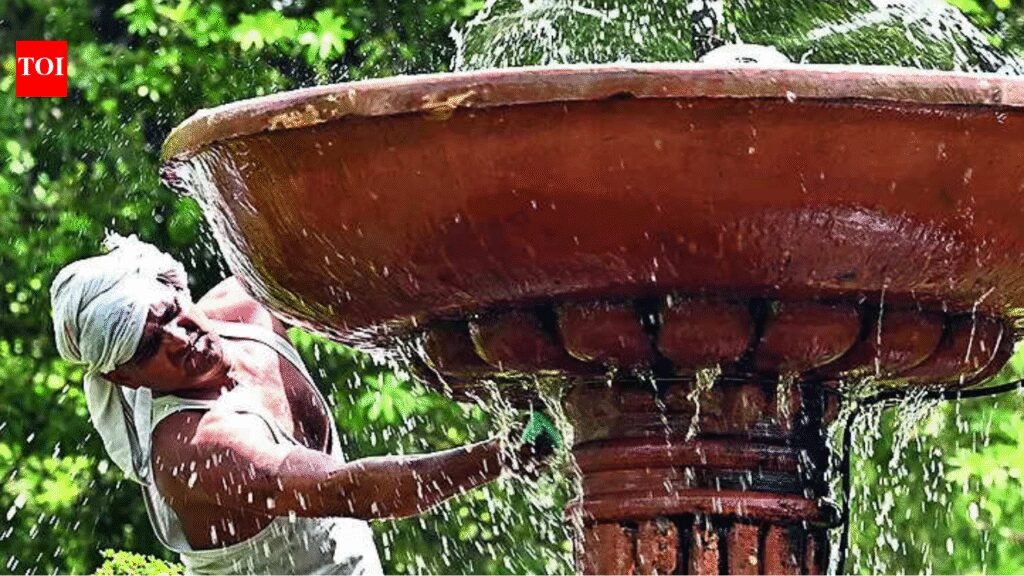 Relief short-lived, brace for heatwave spell | Delhi News