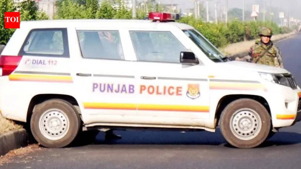 Woman injured in drunken brawl, case filed | Chandigarh News