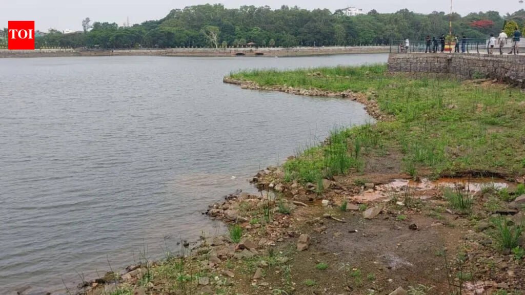Residents rally as sewage & concrete choke Sankey Tank in Bengaluru | Bengaluru News