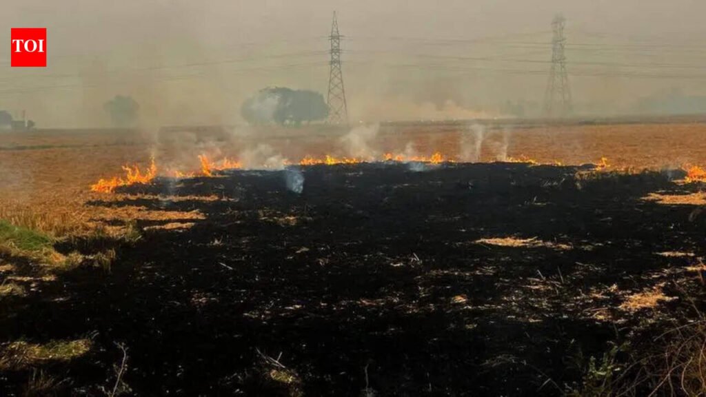 Punjab reports 49 farm fire cases | Chandigarh News