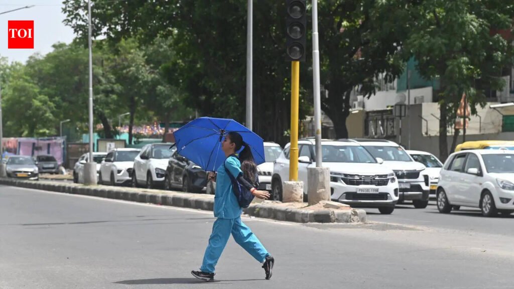 Light rain, thunderstorm may cool simmering Tricity soon | Chandigarh News