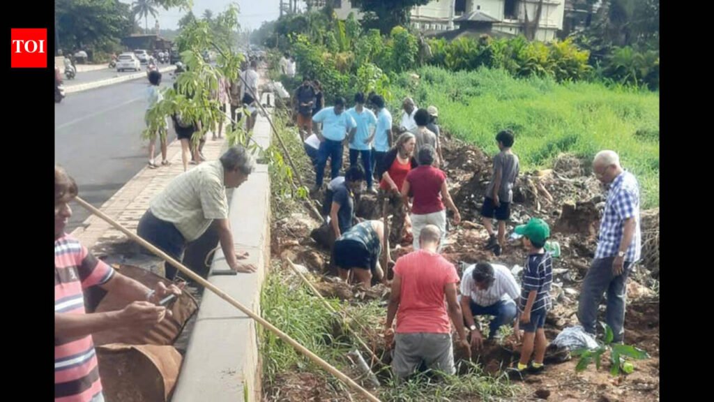 Green initiative: Over 100 volunteers plant 68 trees in Mapusa after road widening felling | Goa News