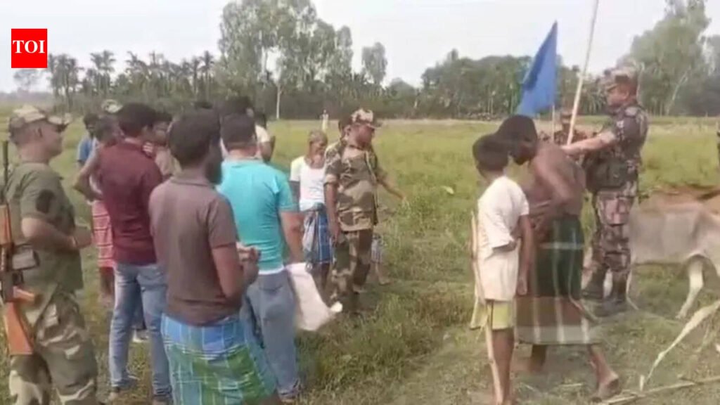 Flag meet as BGB stops BSF land-marking at Teen Bigha | Kolkata News