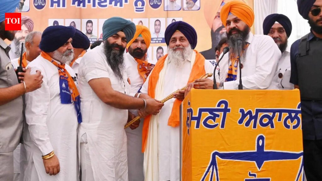 SAD promises ₹500cr boost for Naya Gaon | Chandigarh News