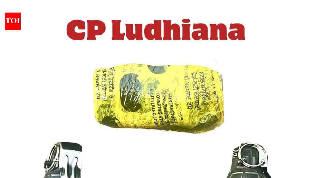 Cheap local runners from Ludhiana had made 3 more arms drops for foreign-directed hit squad. | Ludhiana News