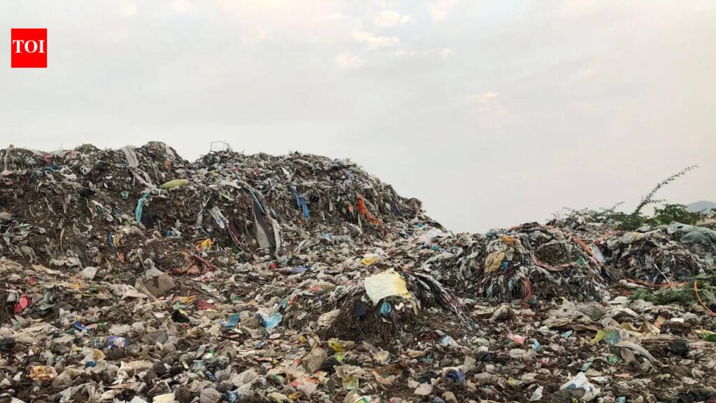 Plastic dump leachate contaminating Jaipur farmland, CU Raj study finds | Jaipur News