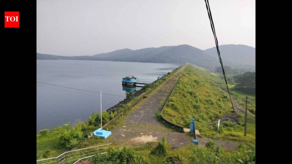 Water levels in reservoirs remain low despite pre-monsoon showers | Goa News
