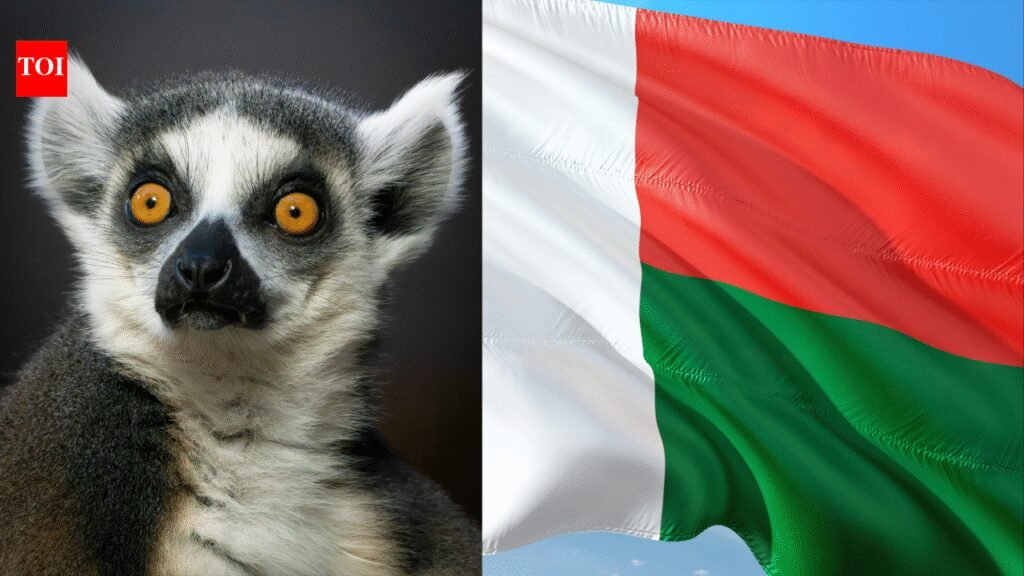 Hidden wildlife in Madagascar revealed through new biodiversity survey methods: Biologists are amazed |
