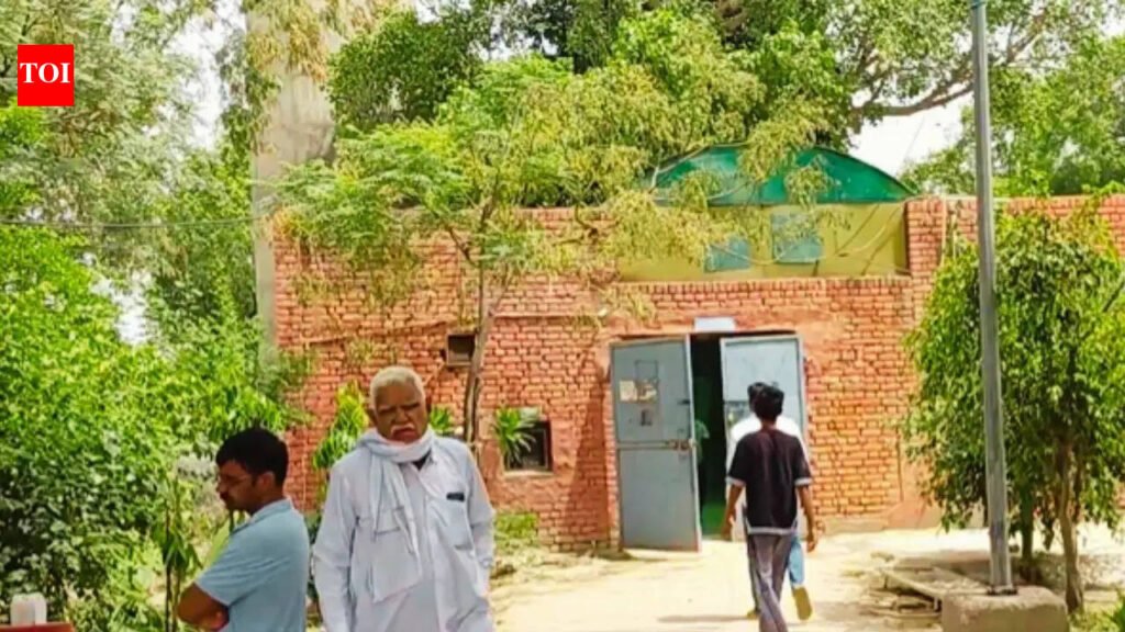 Haryana man bludgeons 3 to death with iron rod | Chandigarh News